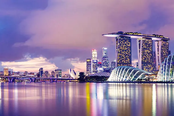 Towering Supertrees adorned with lush vegetation at Gardens by the Bay in Singapore, showcasing the fusion of nature and technology in a breathtaking display of vertical gardens.