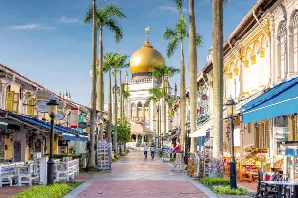 Colorful market street in Chinatown, Singapore, bustling with activity and lined with traditional shophouses, offering a vibrant atmosphere and a glimpse into the neighborhood's rich cultural heritage.